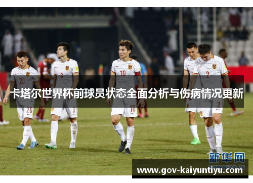 卡塔尔世界杯前球员状态全面分析与伤病情况更新