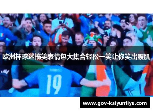欧洲杯球迷搞笑表情包大集合轻松一笑让你笑出腹肌