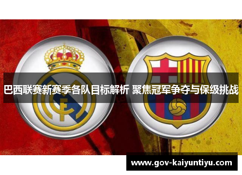 巴西联赛新赛季各队目标解析 聚焦冠军争夺与保级挑战