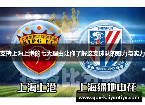 支持上海上港的七大理由让你了解这支球队的魅力与实力