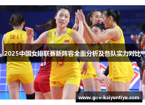 2025中国女排联赛新阵容全面分析及各队实力对比