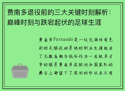 费南多退役前的三大关键时刻解析：巅峰时刻与跌宕起伏的足球生涯