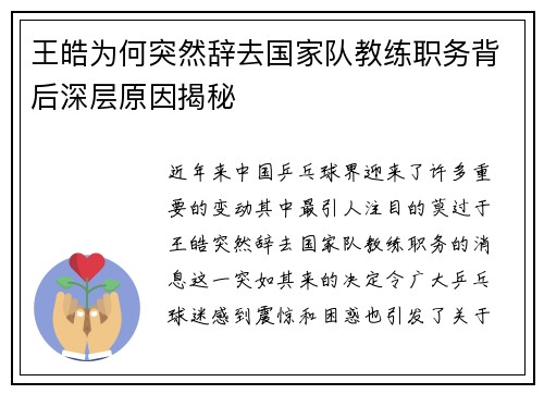 王皓为何突然辞去国家队教练职务背后深层原因揭秘
