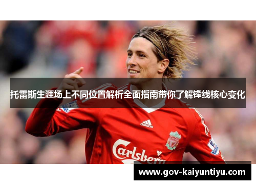 托雷斯生涯场上不同位置解析全面指南带你了解锋线核心变化